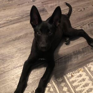 Meet your Posher, Melanie